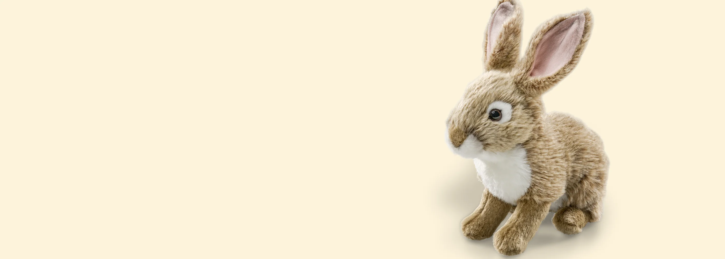 Adopt a Species, Save Wildlife